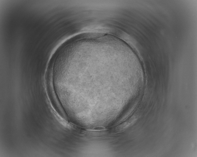 X0000073861344200609071623