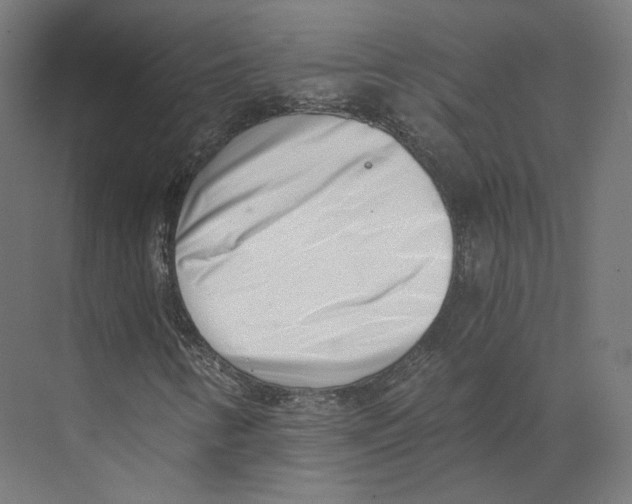 X0000073861346200609071622