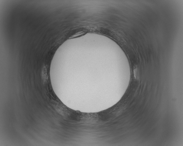 X0000073861347200609071622