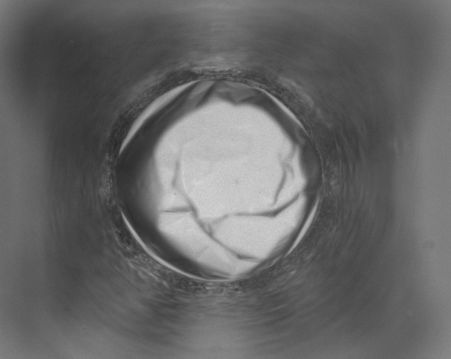 X0000073861350200609071622