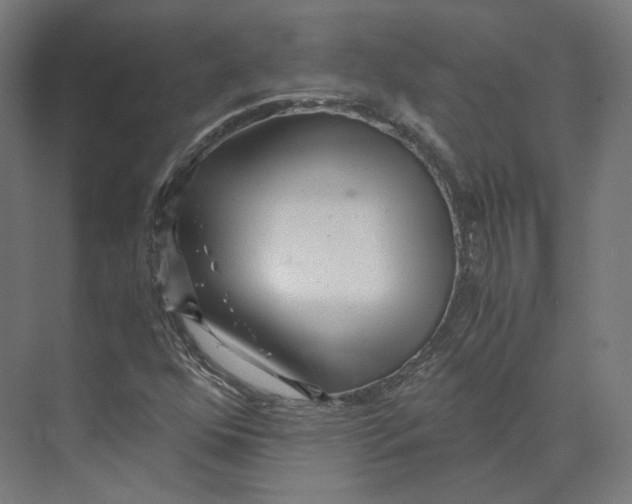 X0000073861352200609071622