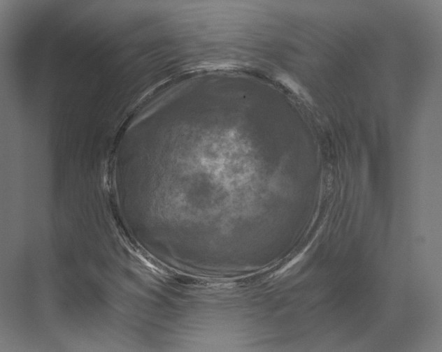 X0000073861353200609071622