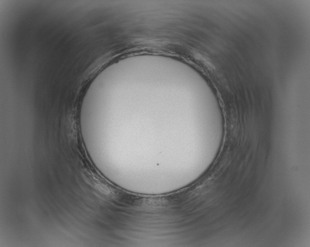 X0000073861354200609071622