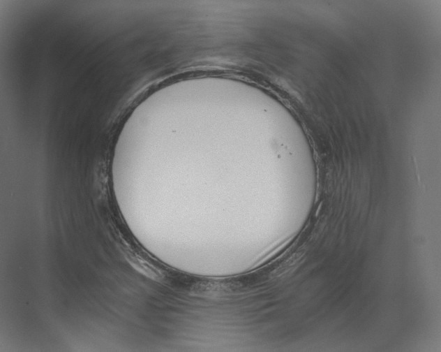 X0000073861355200609071622