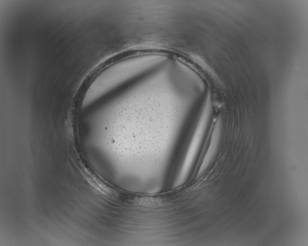 X0000073861356200609071622