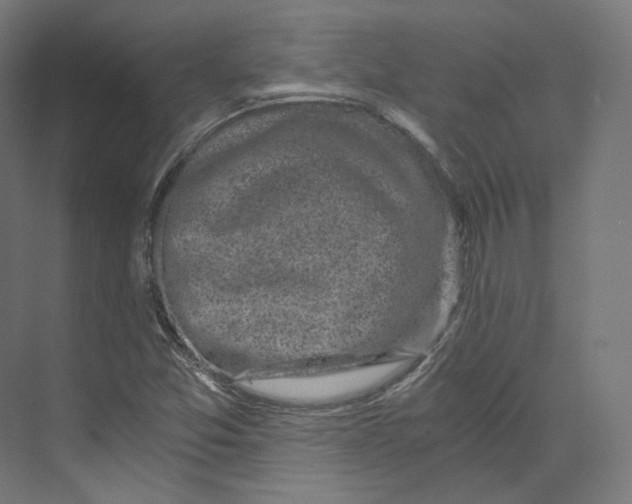 X0000073861357200609071622