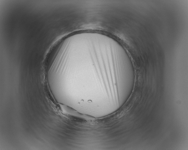 X0000073861358200609071622