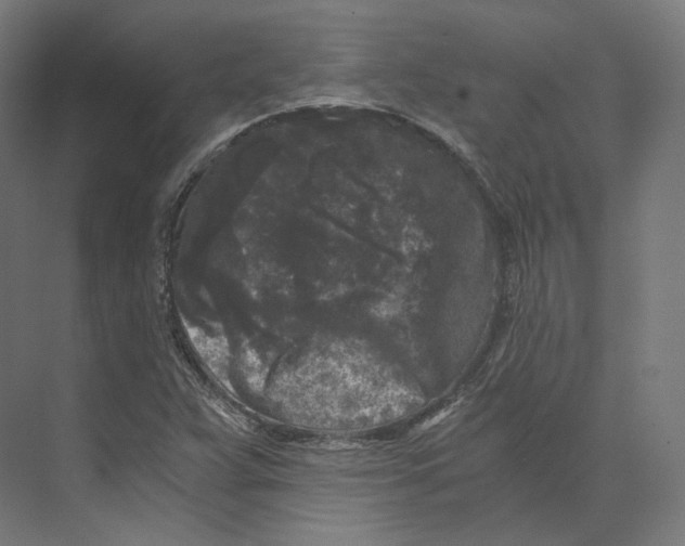 X0000073861359200609071622