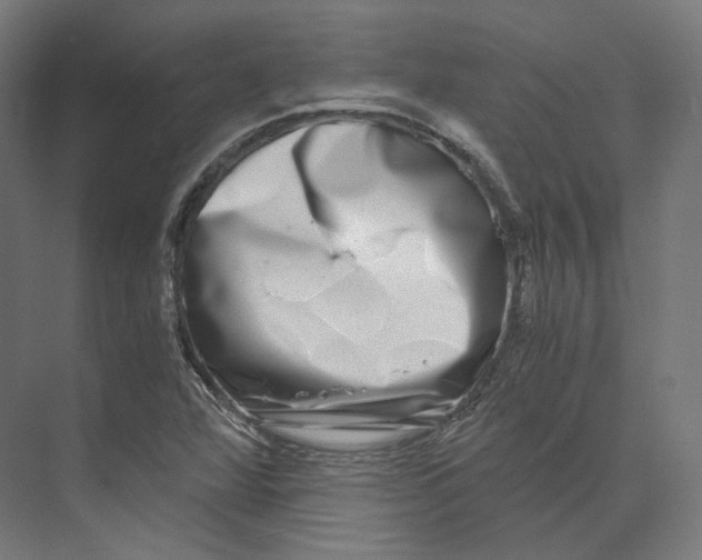 X0000073861360200609071622