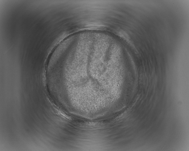 X0000073861362200609071622