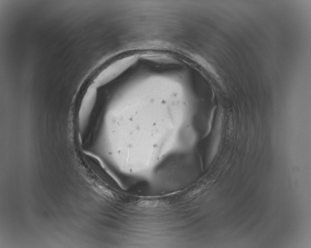 X0000073861364200609071622