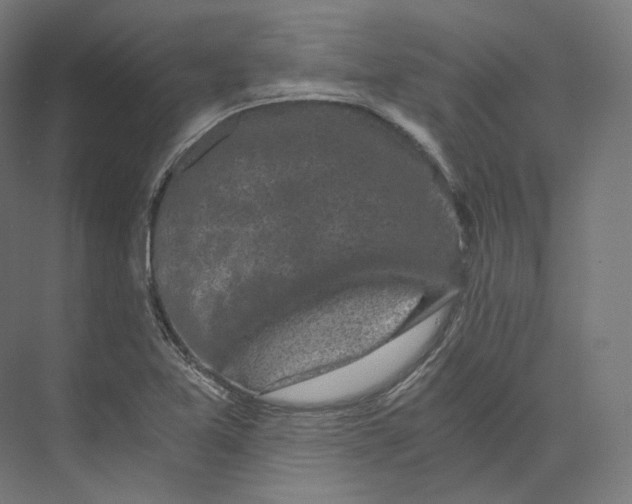 X0000073861365200609071622