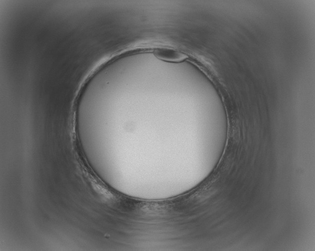 X0000073861366200609071622