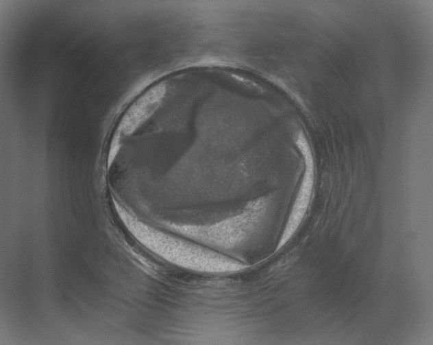 X0000073861367200609071622