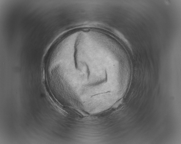 X0000073861368200609071622