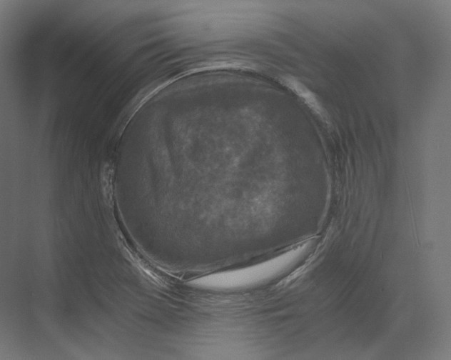 X0000073861369200609071622