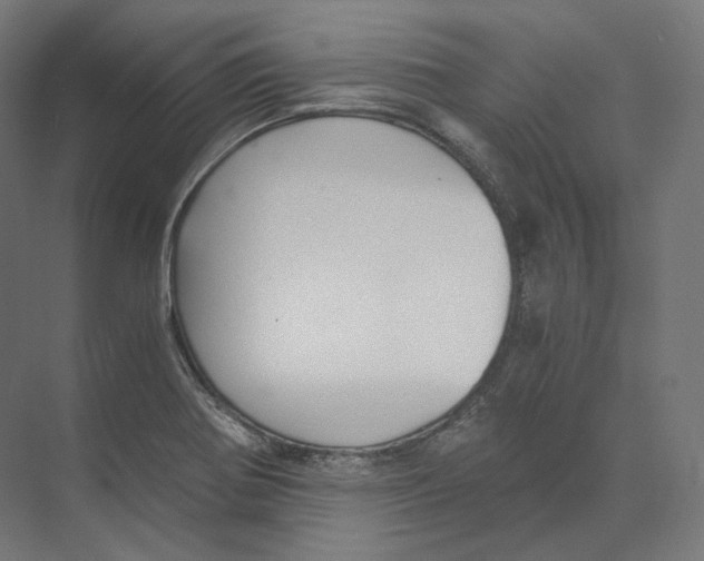 X0000073861370200609071622