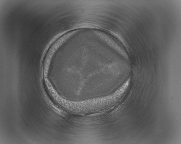 X0000073861371200609071622