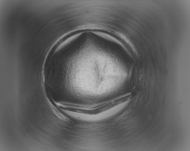 X0000073861372200609071622