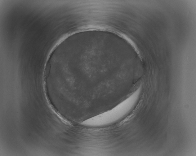 X0000073861373200609071622