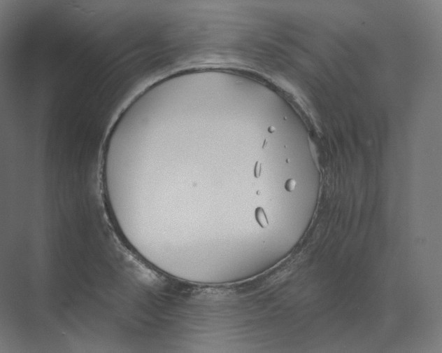 X0000073861374200609071622