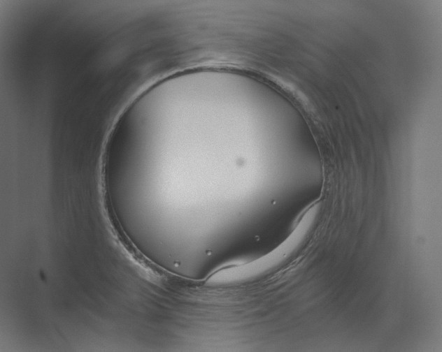 X0000073861375200609071622