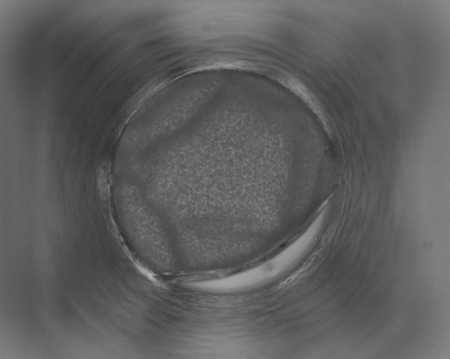 X0000073861377200609071622