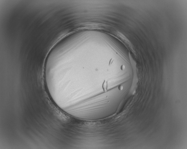 X0000073861378200609071622