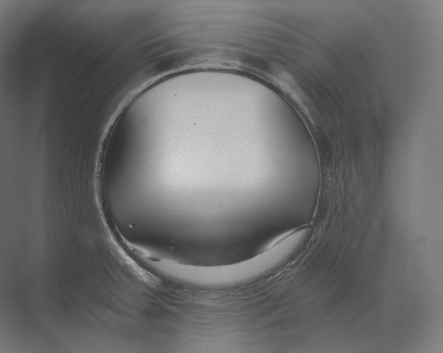 X0000073861379200609071622