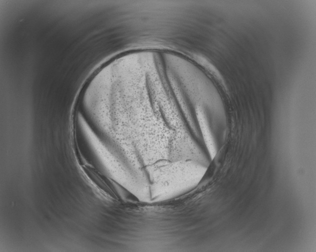 X0000073861380200609071622