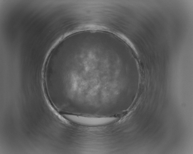 X0000073861381200609071622