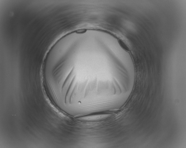 X0000073861382200609071622