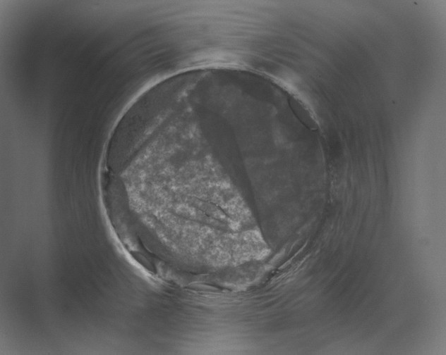 X0000073861383200609071622