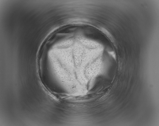 X0000073861384200609071622