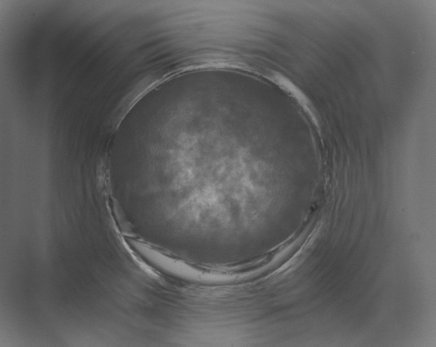 X0000073861385200609071622