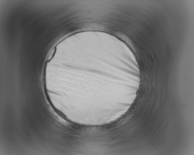 X0000073861387200609071622