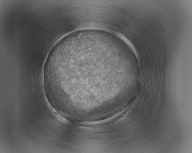 X0000073861388200609071622