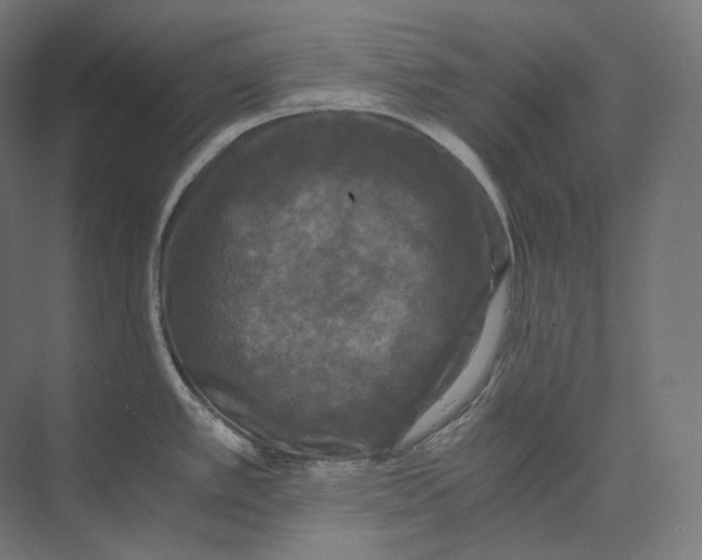 X0000073861389200609071622