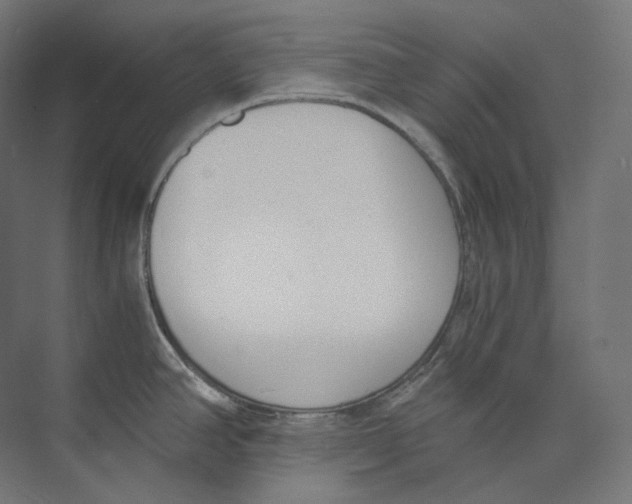 X0000073861390200609071622