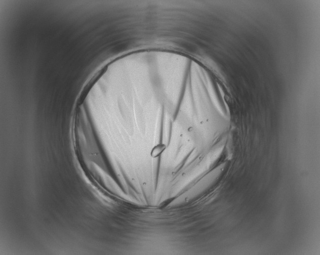 X0000073861391200609071622