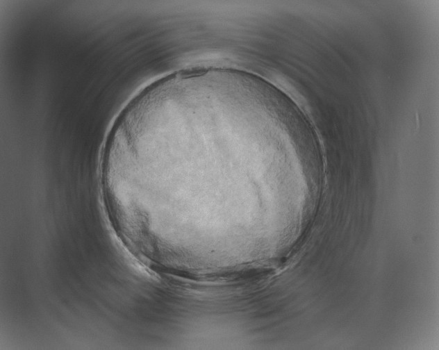 X0000073861392200609071622