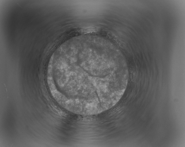 X0000073861393200609071621