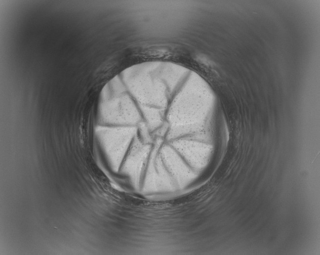 X0000073861394200609071621