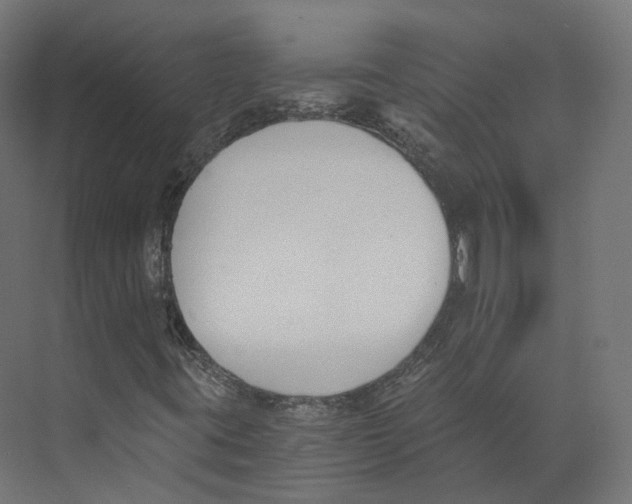 X0000073861395200609071621