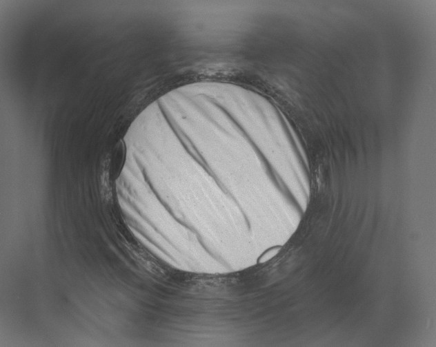 X0000073861396200609071621