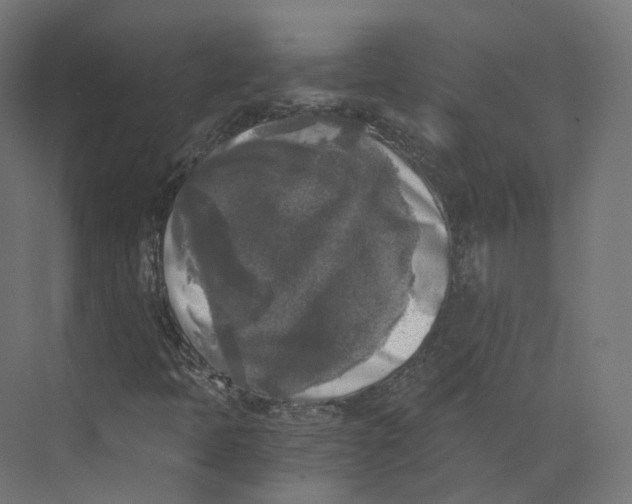 X0000073861397200609071621