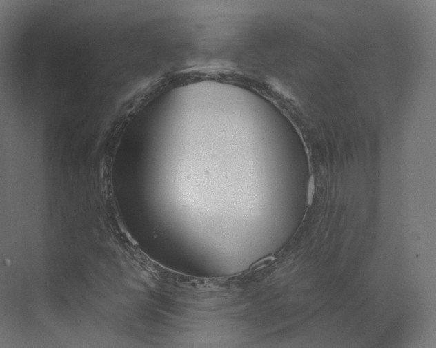 X0000073861398200609071621