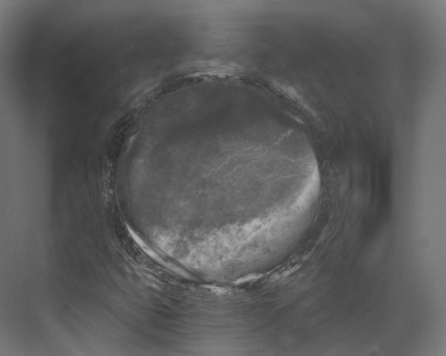 X0000073861399200609071621