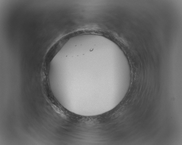 X0000073861400200609071621