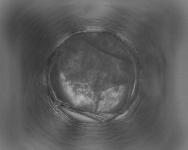 X0000073861401200609071621